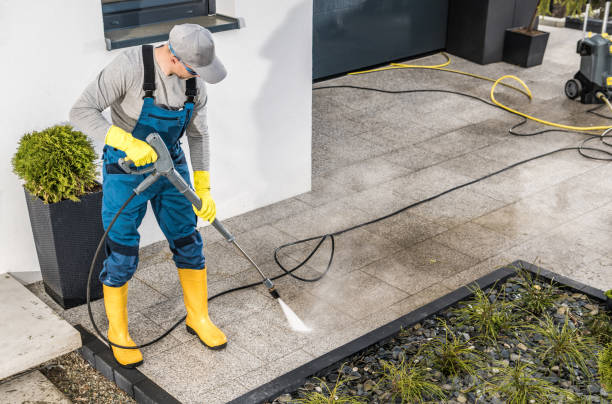 Best Power Washing Near Me  in Wilson, WY